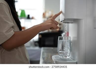Filtro e bebedouro de agua